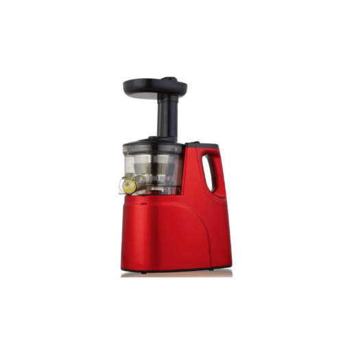 Rebune RE-2-079 Slow Juicer