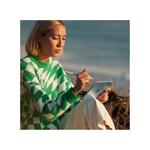 Apple IPad Mini 7th 8.3 Inch 256gb Wifi Only