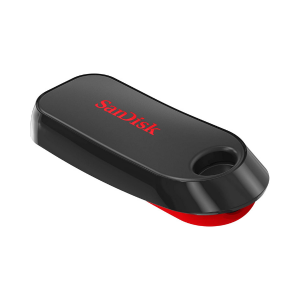 SanDisk Cruzer Snap 64GB photo