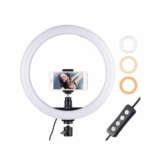12 Inch Ring Light