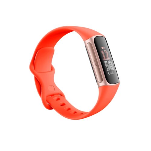Fitbit Charge 6 Premium Fitness Tracker