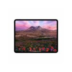 IPad Pro 11 Inch (M4, 256GB, Cellular) A2837 – Blazing Speed & Ultra-Portable Design By Apple