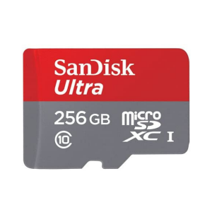 SanDisk MicroSD CLASS 10 80MBPS 256GB photo