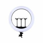 JMARY FM 21-R 21” LED -PRO Ring Light W/Remote By Other