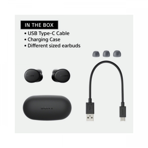 Sony WF-XB700 True Wireless In-Ear Headphones