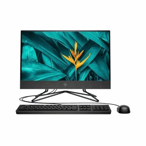 HP 200 G4 All-in-One PC Core I5, 4GB RAM, 1TB HDD 22” Display 10th Gen