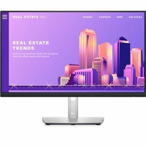 DELL 24 Inch FHD Monitor - P2422H