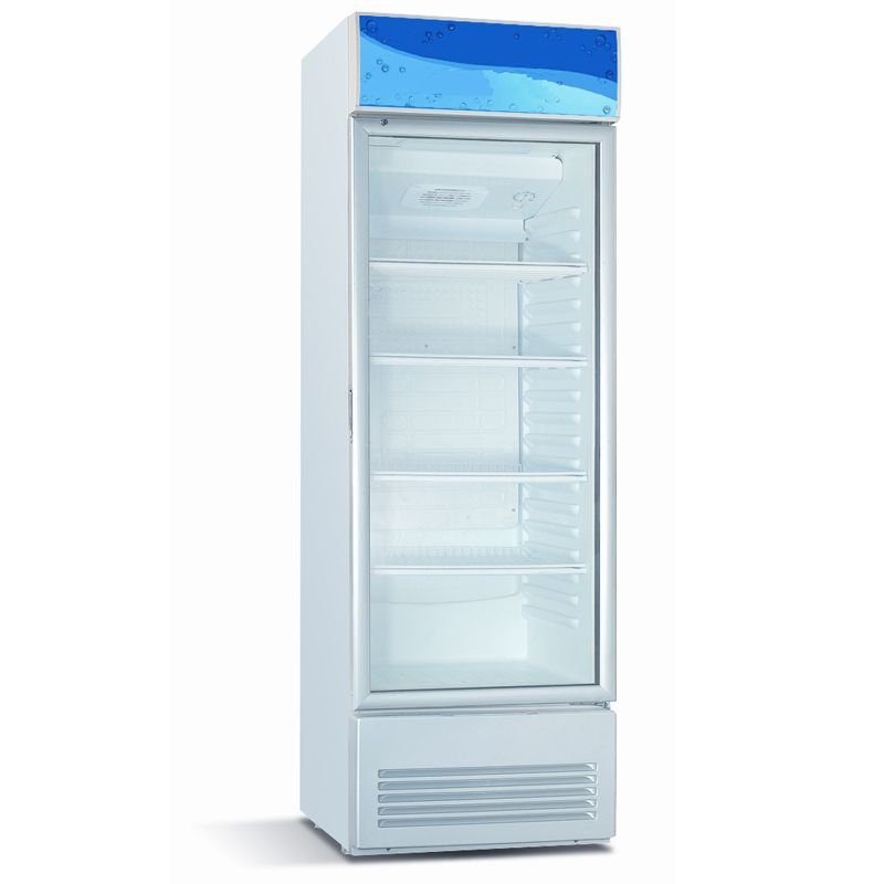 Ramtons 350 LITERS 1 DOOR SHOWCASE CHILLER- CF/203 by Ramtons