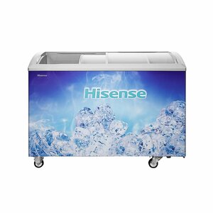 Hisense FC-40DD 301L Ice Cream Freezer