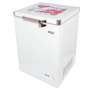 RAMTONS 93 LITERS ALUMINIUM INTERIOR CHEST FREEZER- CF/230
