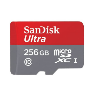 SanDisk MicroSD CLASS 10 80MBPS 256GB